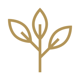 Simple gold line drawing of a plant with three leaves on a light gray background.
