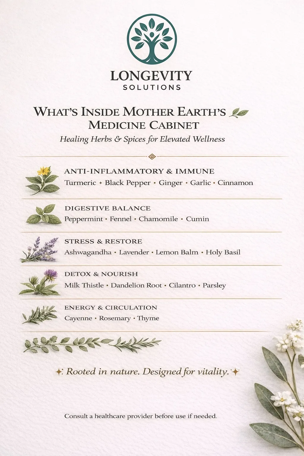 recipe-6 Herbal medicine cabinet list showing herbs for wellness categories like immunity, digestion, stress, detox, and energy.