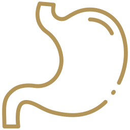 Simple line drawing of a human stomach in gold on a light background.